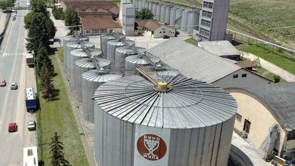 „Vino Župa“  godišnje preradi 50.000.000 litara vina - Sputnik Srbija