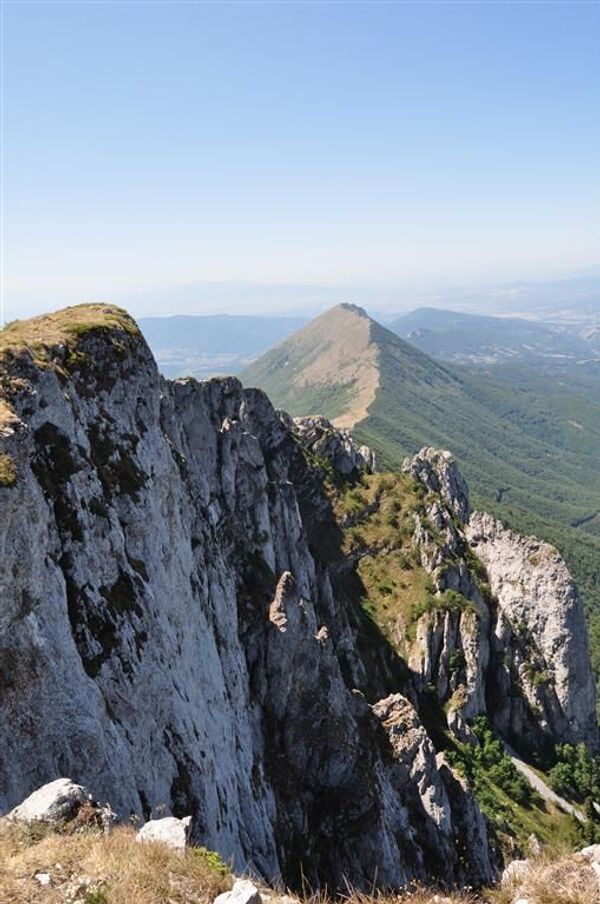 Госпина папучица у Србији: На Сувој планини откривена ретка врста ─ најлепша орхидеја у Европи Госпина папучица у Србији: На Сувој планини откривена ретка врста ─ најлепша орхидеја у Европи - Sputnik Србија