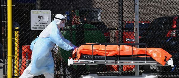 Amerika - Sputnik Srbija