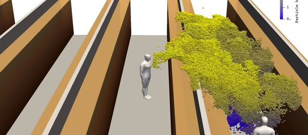 Trodimenzionalni prikaz širenja virusa korona u zatvorenom prostoru Trodimenzionalni prikaz širenja virusa korona u zatvorenom prostoru - Sputnik Srbija