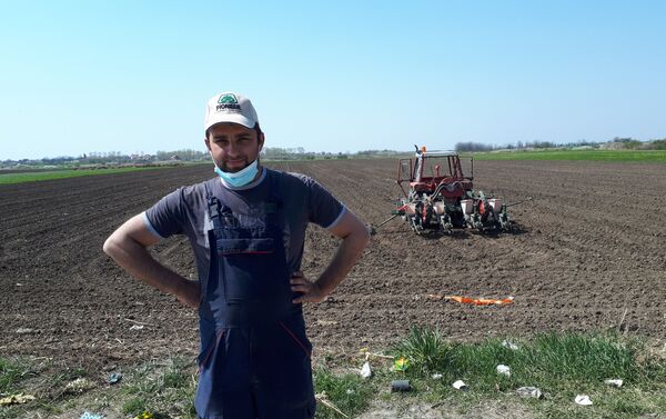 Zoran Zorkić iz Ugrinovaca obrađuje 80 hektara zemlje i od rane zore je na tratoktoru na njivi - Sputnik Srbija