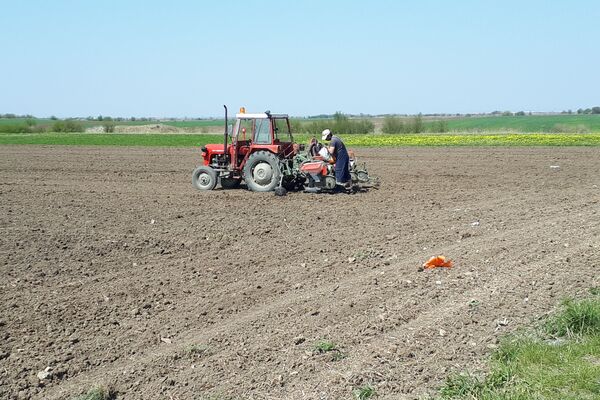 Poljoprivrednici koriste svaki trenutak da postignu da obrade svoje njive  - Sputnik Srbija