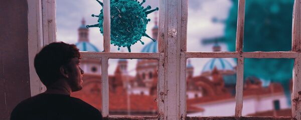 Karantin u doba korone – ilustracija - Sputnik Srbija
