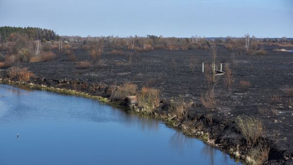 Последице пожара у зони отуђења у Чернобиљу - Sputnik Србија