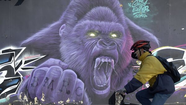 Muškarac na biciklu ispred murala u Bogoti - Sputnik Srbija