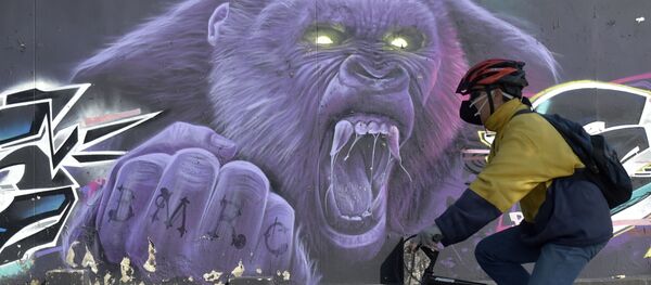 Мушкарац на бициклу испред мурала у Боготи - Sputnik Србија