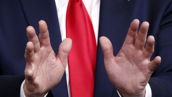 Руке америчког председника Доналда Трампа током конференције за медије у Белој кући - Sputnik Србија