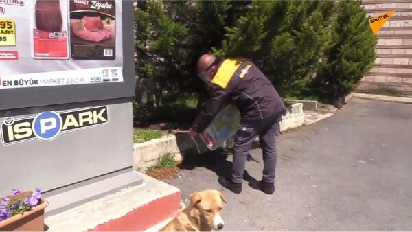 Становници Истанбула нашли начин да хране напуштене животиње током полицијског часа  - Sputnik Србија