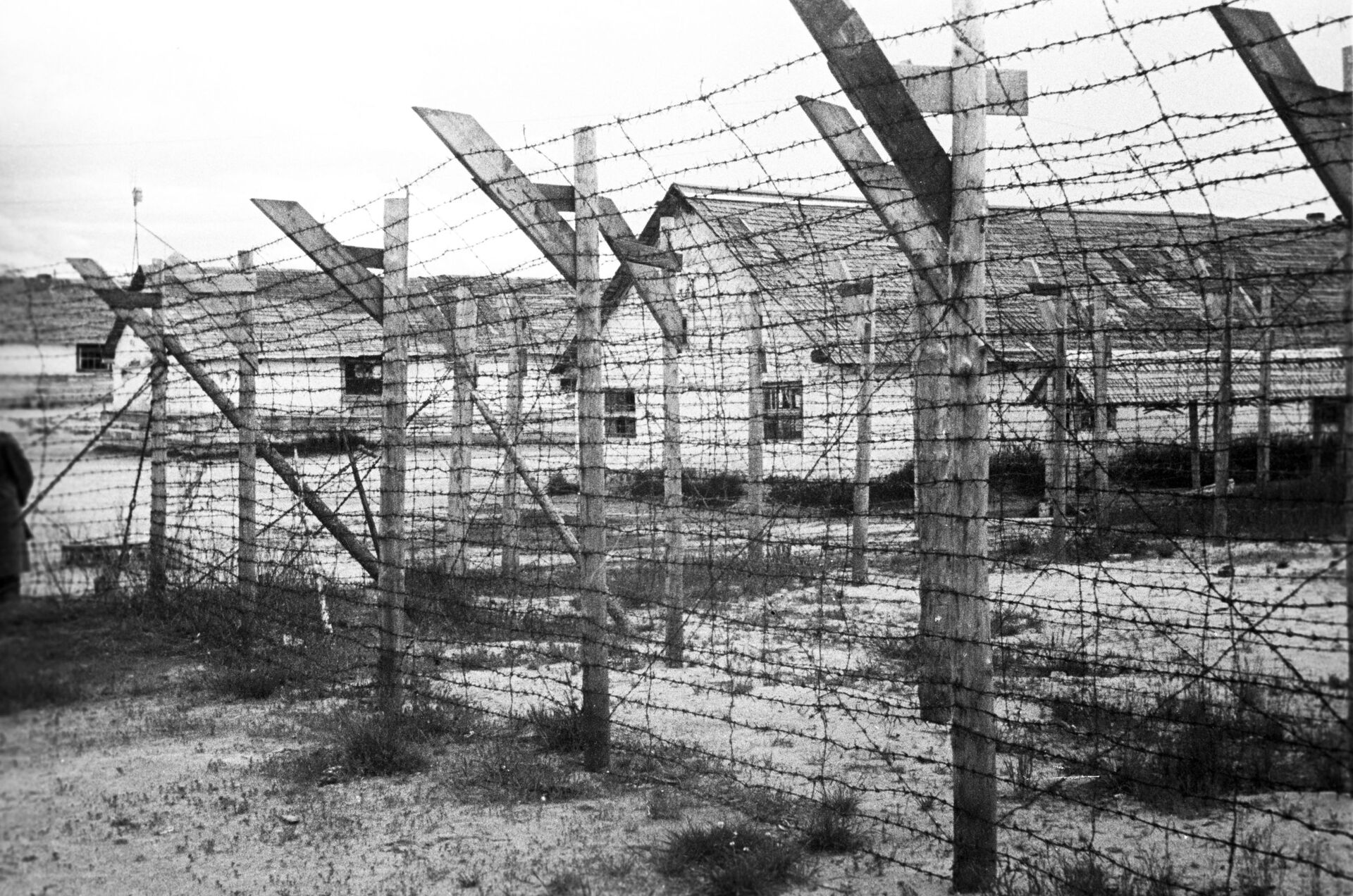Koncentracioni logor u Finskoj - Sputnik Srbija, 1920, 16.09.2023