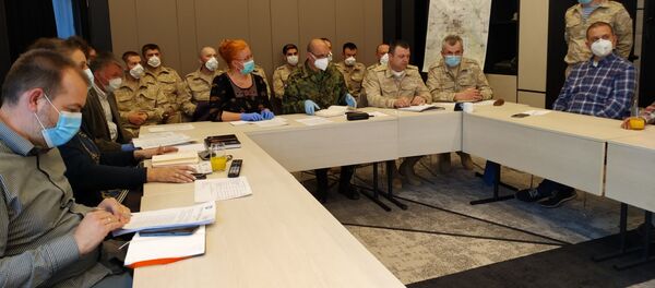 Video-konferencija ruskih i srpskih lekara - Sputnik Srbija