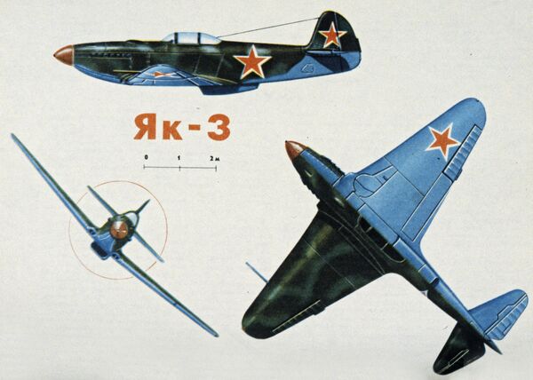 Avijacija pobede: 10 sovjetskih aviona koji su srušili Hitlera /foto/ Avijacija pobede: 10 sovjetskih aviona koji su srušili Hitlera /foto/ - Sputnik Srbija