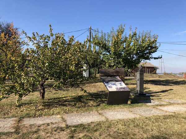 Дванаест топ дестинација, ако одлучите да летујете у Србији Дванаест топ дестинација, ако одлучите да летујете у Србији - Sputnik Србија