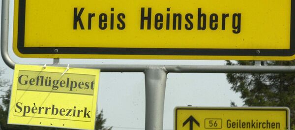 Хајнсберг - Sputnik Србија