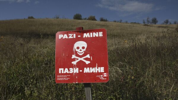 Minkso polje u Bosni i Hercegovini-arhivska fotografija - Sputnik Srbija