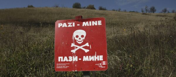 Минксо поље у Босни и Херцеговини-архивска фотографија Минксо поље у Босни и Херцеговини-архивска фотографија - Sputnik Србија