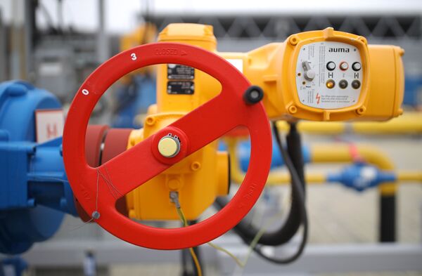 Novi petrohemijski kompleksi – budućnost Rusije Novi petrohemijski kompleksi – budućnost Rusije - Sputnik Srbija