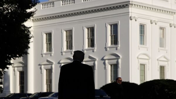 Američki predsednik Donald Tramp ispred Bele kuće - Sputnik Srbija