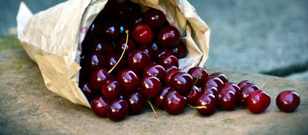 Трешња - Sputnik Србија