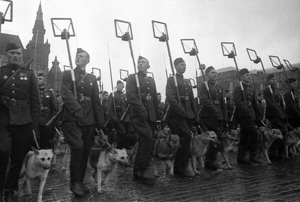 Деминери са дресираним псима на Паради победе на Црвеном тргу, 24. јуна 1945. - Sputnik Србија