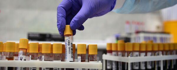 Лаборант у лабораторији Научно-истраживачког института узима узорке са биолошким материјалом за проверу на постојање вируса корона Лаборант у лабораторији Научно-истраживачког института узима узорке са биолошким материјалом за проверу на постојање вируса корона - Sputnik Србија