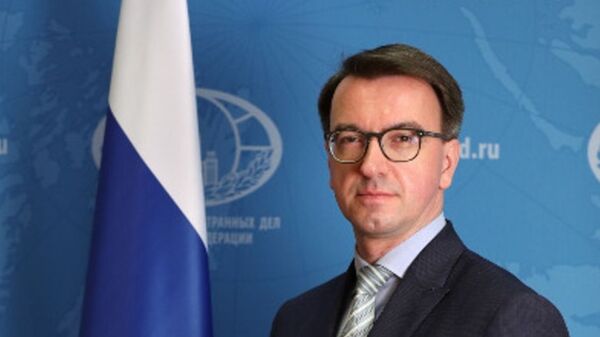 Ambasador Ruske federacija u Crnoj Gori Vladislav Maslenikov - Sputnik Srbija