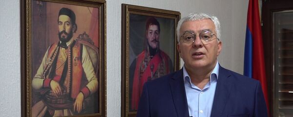 Andrija Mandić - Sputnik Srbija