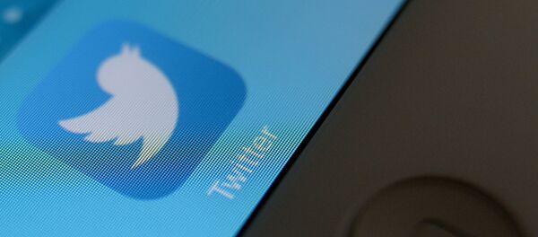 Ikonica aplikacije Tvitera na ekranu tableta - Sputnik Srbija