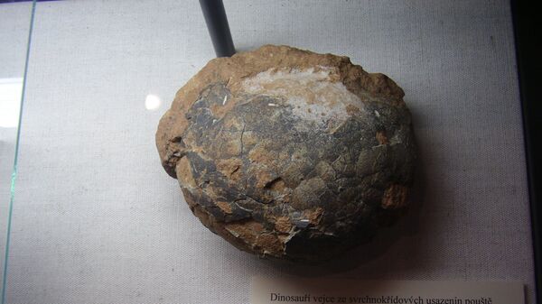 Јаје диносауруса - Sputnik Србија