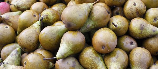 Kruške Kruške - Sputnik Srbija