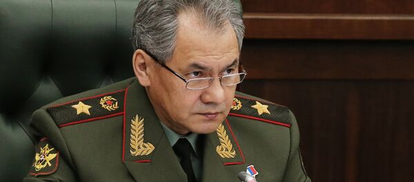 Сергеј Шојгу - Sputnik Србија