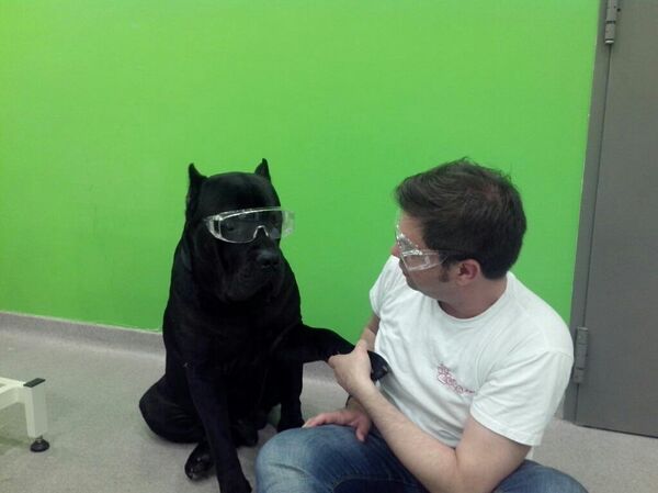 Aleksandar Alek Miletić, grumer iz salona za ulepšavanje pasa. - Sputnik Srbija