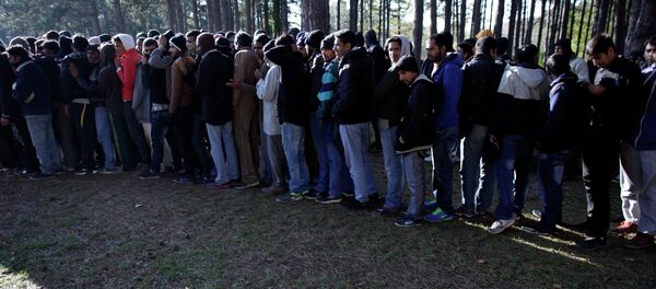 Azilanti sa Bliskog Istoka u Srbiji Azilanti sa Bliskog Istoka u Srbiji - Sputnik Srbija