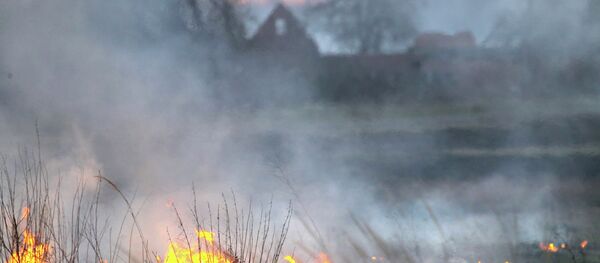 Požar Černobilj - Sputnik Srbija