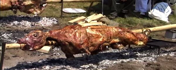 Теле на ражњу Теле на ражњу - Sputnik Србија