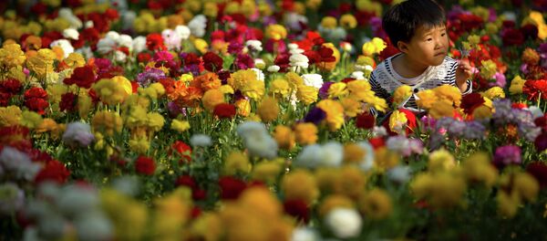 Кинески дечак у цвећу - Sputnik Србија