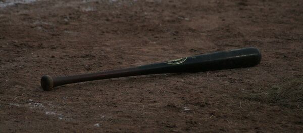 Безбол палица - Sputnik Србија