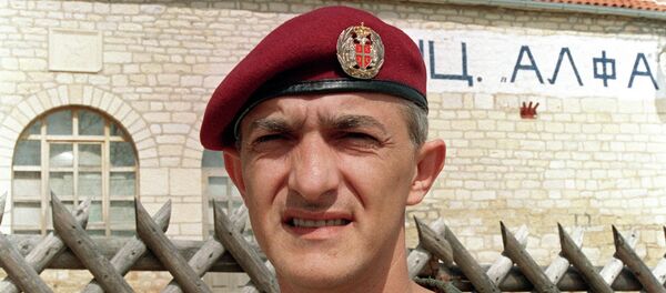 Kapetan Dragan Kapetan Dragan - Sputnik Srbija