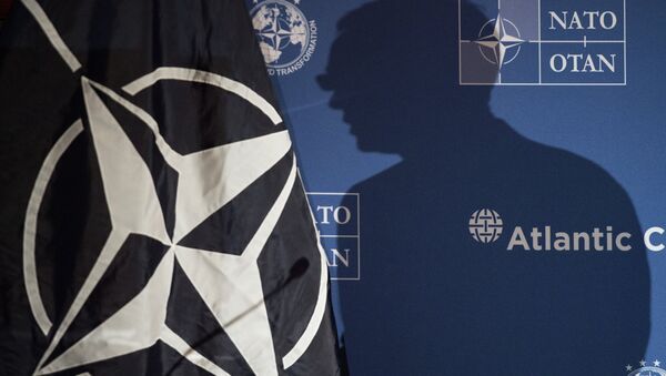 Nato zastava - Sputnik Srbija