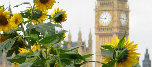 London, Engleska - Sputnik Srbija