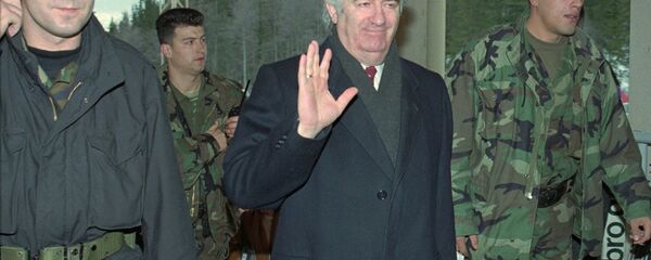 Radovan Karadžić - Sputnik Srbija