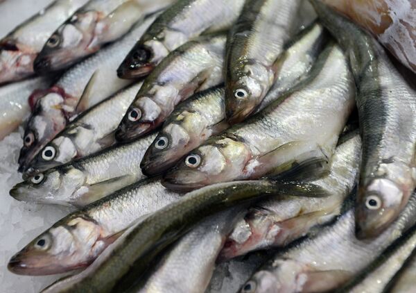 Све врсте риба садрже драгоцене витамине. - Sputnik Србија