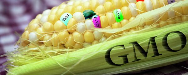 ГМО - Sputnik Србија