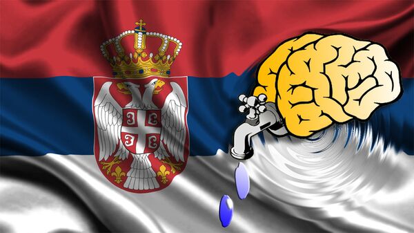Odliv mozgova iz Srbije- ilustracija - Sputnik Srbija