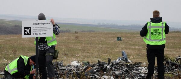 Малезијски авион МХ17 Малезијски авион МХ17 - Sputnik Србија