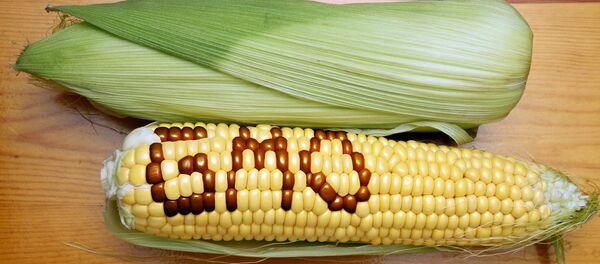 Гмо - Sputnik Србија