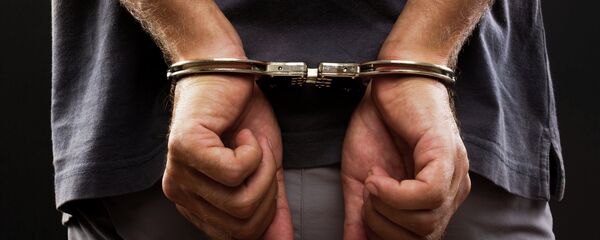 Хапшење Хапшење - Sputnik Србија