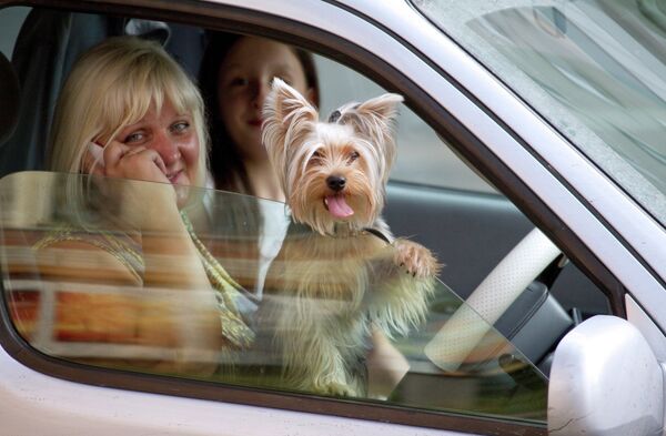 Веома су популарни страни аутомобили који се производе у Русији  - Sputnik Србија