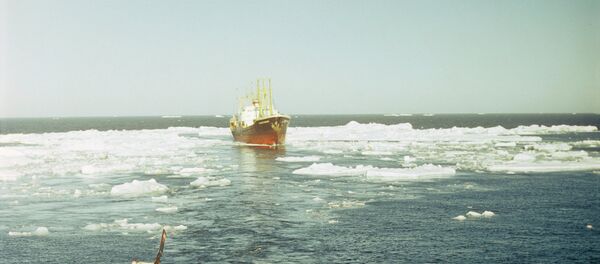 Transportni brodovi na Severnom morskom putu Transportni brodovi na Severnom morskom putu - Sputnik Srbija