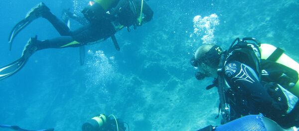 Ronioci - Sputnik Srbija