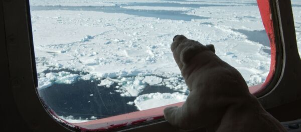 Арктик, клима, загревање - Sputnik Србија